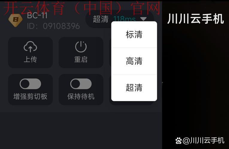 开云官方app下载,官方授权开云APP下载安装完整教程