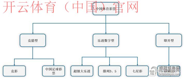 开云体育平台怎么样，专业市场定位和发展前景分析