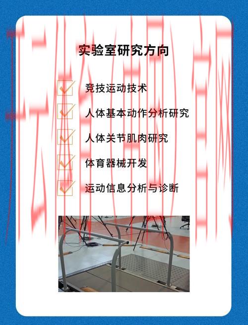 开云体育平台赛事,从运动科学看高强度赛事的奥秘